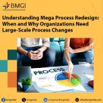 Understanding Mega Process Redesign: When and Why Organizations Need Large-Scale Process Changes