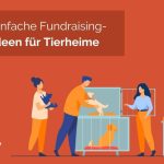 Blog über spenden app+spenden für tiere+finanzielle unterstützung für hunde-op+spenden steuerlich absetzen